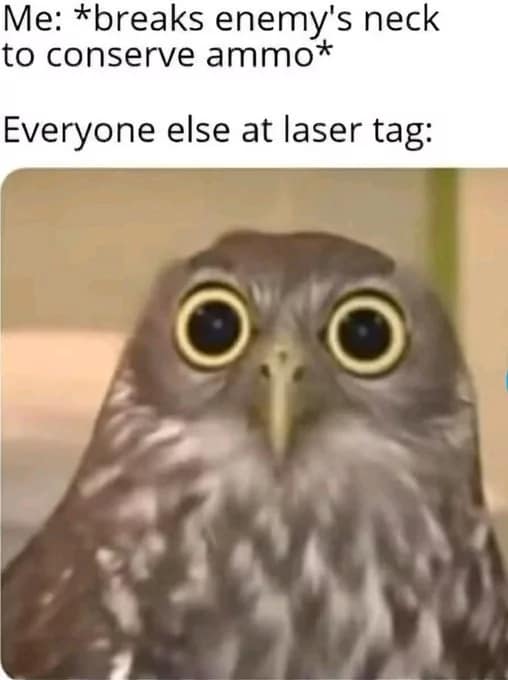 owl memes, funny owl, bird memes, cute owl, owl jokes, owl pictures, nocturnal memes, feathered humor, wise owl memes, hoot memes, owl meme