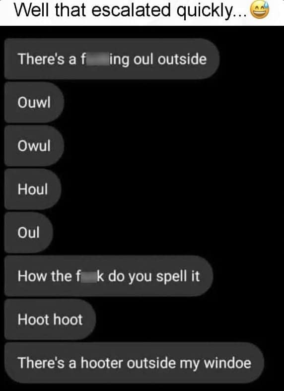 owl memes, funny owl, bird memes, cute owl, owl jokes, owl pictures, nocturnal memes, feathered humor, wise owl memes, hoot memes, owl meme