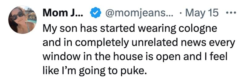 parenting memes, funny parenting memes, mom dad memes, child-raising memes, family chaos memes, funny parent jokes, comedic parent lines, witty parenting remarks, mom and dad humor, caretaker banter, guardianship gags, parenting tweets