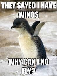penguin meme, penguin memes, funny animal memes, cute penguin, penguin jokes, penguin humor