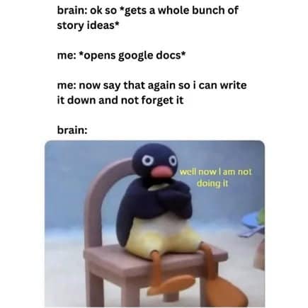penguin meme, penguin memes, funny animal memes, cute penguin, penguin jokes, penguin humor