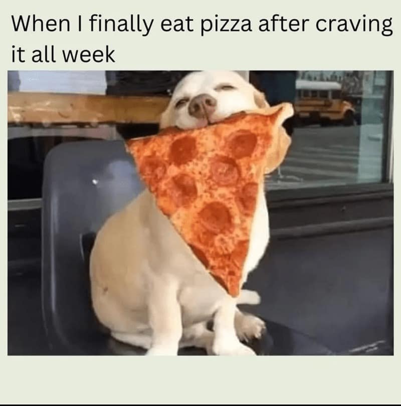 pizza meme, pizza memes, pizza humor, funny pizza moments, pizza lover, pizza jokes, cheesy memes, pizza cravings, humorous food memes, funny food, meme dump