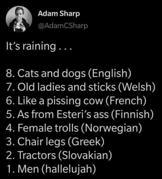 rainy day meme, rain memes, weather memes, funny memes, storm memes, wet weather jokes, rainy humor, drizzle memes, umbrella memes, gloomy day laughs, cloud memes, stormy day memes, rain joke collection, rainy mood memes, wet day funnies, soggy memes, rainstorm memes, rainy scroll memes, indoor day memes, grey sky humor