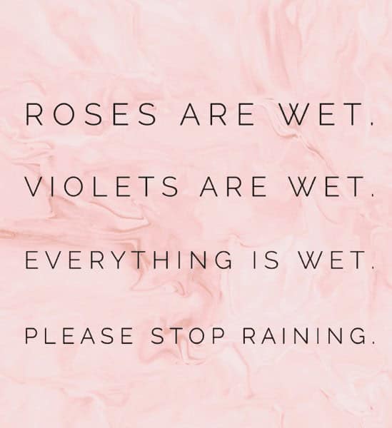 rainy day meme, rain memes, weather memes, funny memes, storm memes, wet weather jokes, rainy humor, drizzle memes, umbrella memes, gloomy day laughs, cloud memes, stormy day memes, rain joke collection, rainy mood memes, wet day funnies, soggy memes, rainstorm memes, rainy scroll memes, indoor day memes, grey sky humor