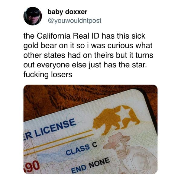 real ID memes, DMV memes, ID jokes, airport security memes, license memes, travel ID humor, federal ID jokes