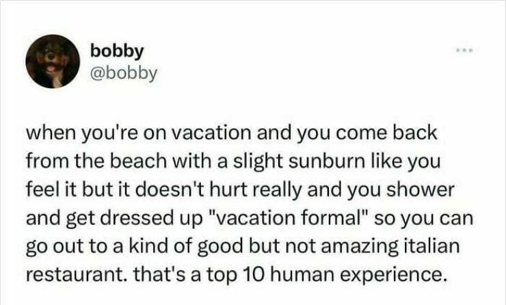 relatable memes, funny memes, life memes, everyday memes, universal memes, shared-experience memes, real-life jokes, close-to-home memes, relatable humor, daily life memes, human condition memes, “same” memes, personal reality memes, ordinary life memes