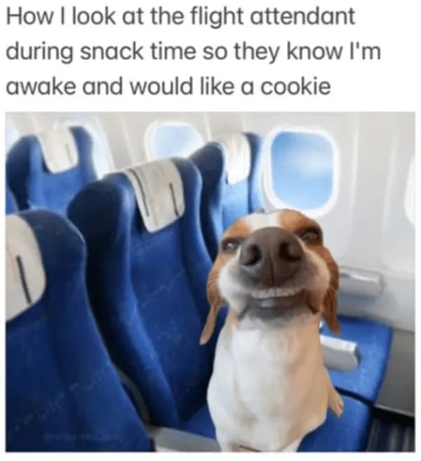 relatable memes, adulting memes, relatable humor, hilarious memes, meme humor, adult life memes, life memes, daily struggle memes, adulting jokes, meme collection, internet memes, laugh memes, adulting problems, funny pics, relatable jokes, relatable content, comedy memes