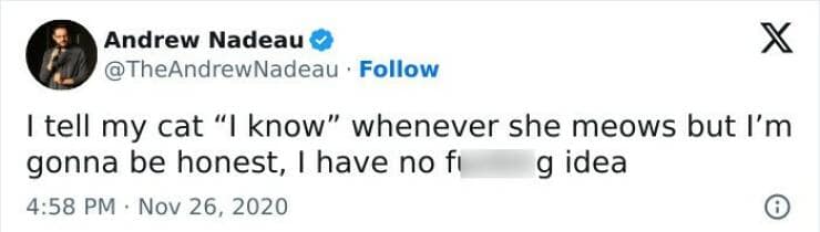 relatable memes, funny memes, life memes, everyday memes, universal memes, shared-experience memes, real-life jokes, close-to-home memes, relatable humor, daily life memes, human condition memes, “same” memes, personal reality memes, ordinary life memes