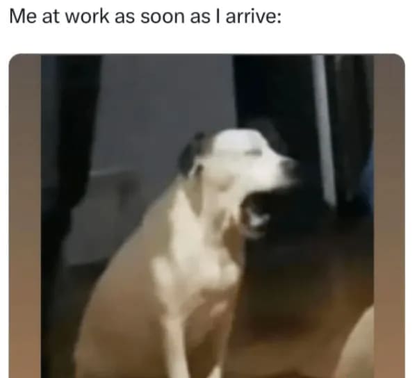 relatable memes, adulting memes, relatable humor, hilarious memes, meme humor, adult life memes, life memes, daily struggle memes, adulting jokes, meme collection, internet memes, laugh memes, adulting problems, funny pics, relatable jokes, relatable content, comedy memes