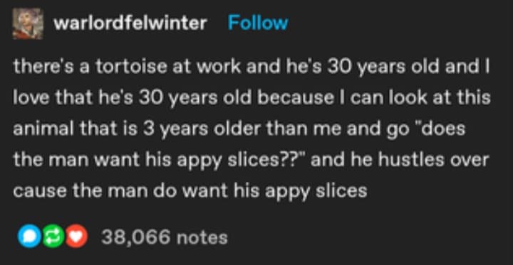 reptile memes, lizard memes, frog memes, snake memes, funny reptile memes, scaly memes, gecko memes, turtle memes, iguana memes, amphibian memes, cold-blooded memes, animal memes, funny animal memes, pet reptile jokes, reptile humor, frog jokes, snake jokes, lizard humor, meme reptiles, reptile laughs