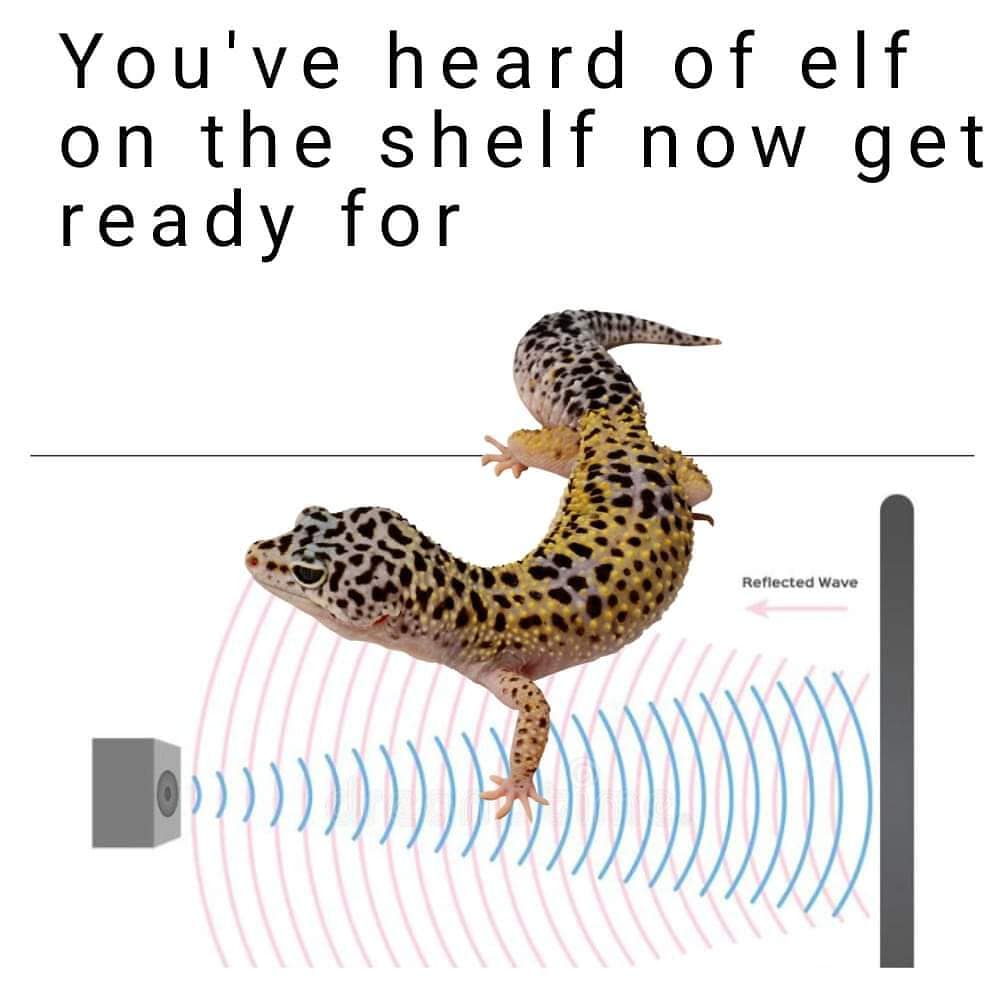 reptile memes, lizard memes, frog memes, snake memes, funny reptile memes, scaly memes, gecko memes, turtle memes, iguana memes, amphibian memes, cold-blooded memes, animal memes, funny animal memes, pet reptile jokes, reptile humor, frog jokes, snake jokes, lizard humor, meme reptiles, reptile laughs