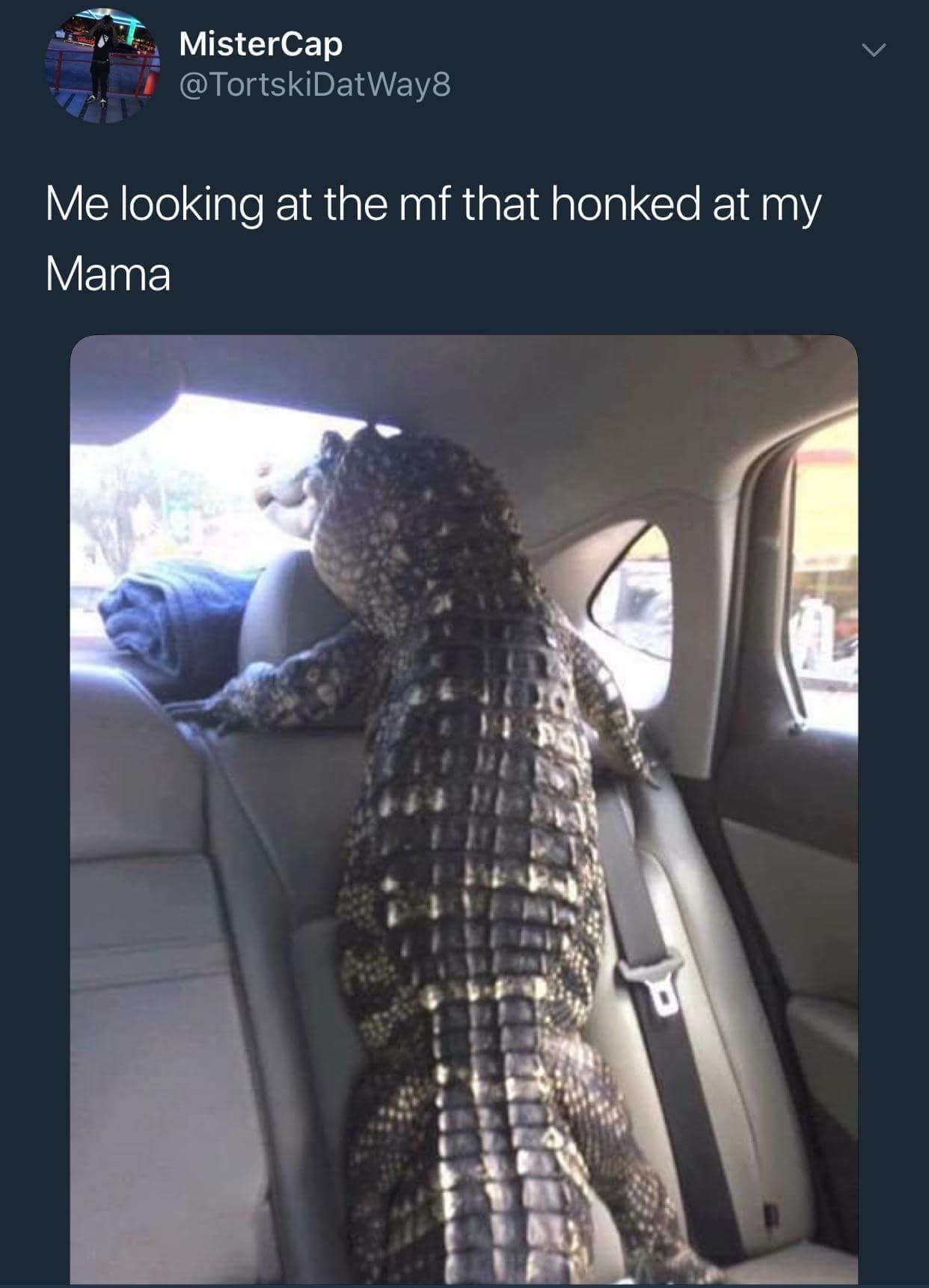 reptile memes, lizard memes, frog memes, snake memes, funny reptile memes, scaly memes, gecko memes, turtle memes, iguana memes, amphibian memes, cold-blooded memes, animal memes, funny animal memes, pet reptile jokes, reptile humor, frog jokes, snake jokes, lizard humor, meme reptiles, reptile laughs