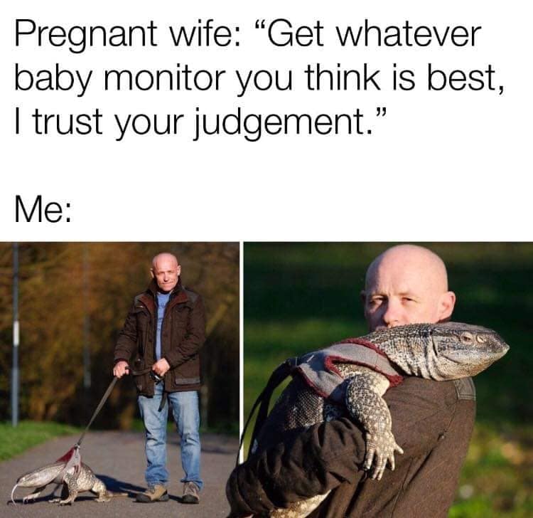 reptile memes, lizard memes, frog memes, snake memes, funny reptile memes, scaly memes, gecko memes, turtle memes, iguana memes, amphibian memes, cold-blooded memes, animal memes, funny animal memes, pet reptile jokes, reptile humor, frog jokes, snake jokes, lizard humor, meme reptiles, reptile laughs