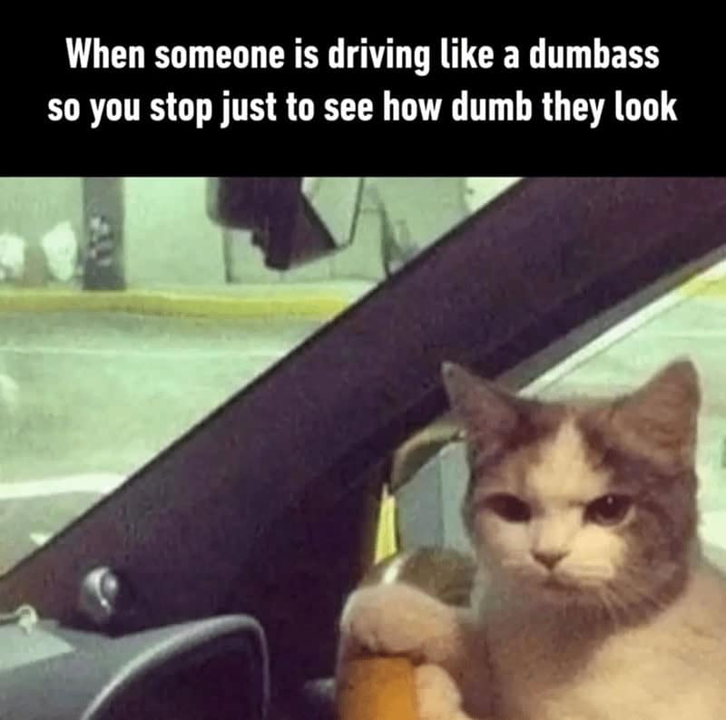 When someone is driving like a dumbass so you stop just to see how dumb they look