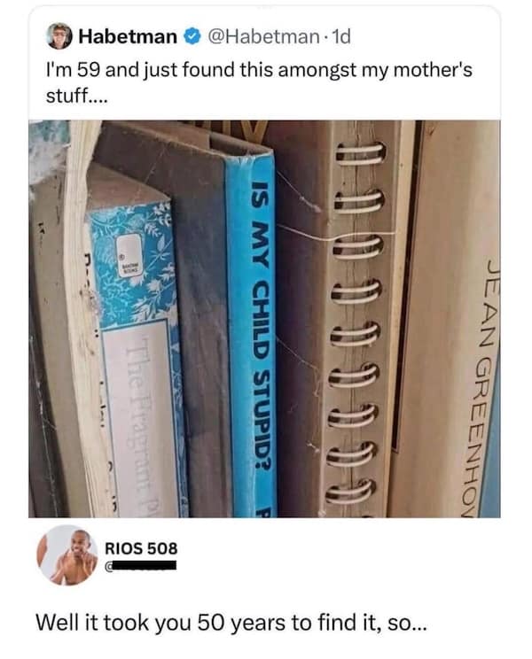 savage roasts, funny insults, brutal insults, scorching remarks, unforgiving jokes, epic comebacks, strong retorts, powerful replies, comedic burns, humorous slights, witty digs