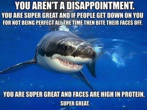 shark memes, funny shark memes, ocean memes, sea memes, jaws memes, marine memes, fish memes, great white memes, hammerhead memes, shark week memes, deep sea jokes, aquatic humor, predator memes, water memes, sea life memes