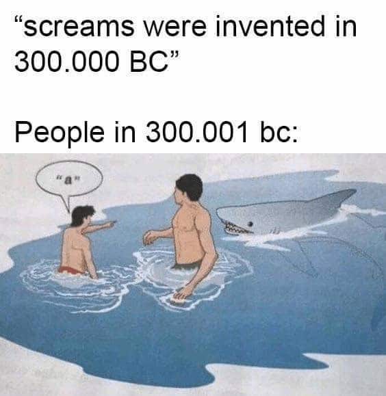 shark memes, funny shark memes, ocean memes, sea memes, jaws memes, marine memes, fish memes, great white memes, hammerhead memes, shark week memes, deep sea jokes, aquatic humor, predator memes, water memes, sea life memes