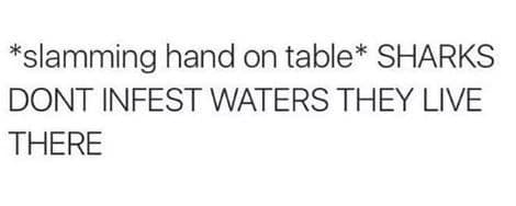 shark memes, funny shark memes, ocean memes, sea memes, jaws memes, marine memes, fish memes, great white memes, hammerhead memes, shark week memes, deep sea jokes, aquatic humor, predator memes, water memes, sea life memes