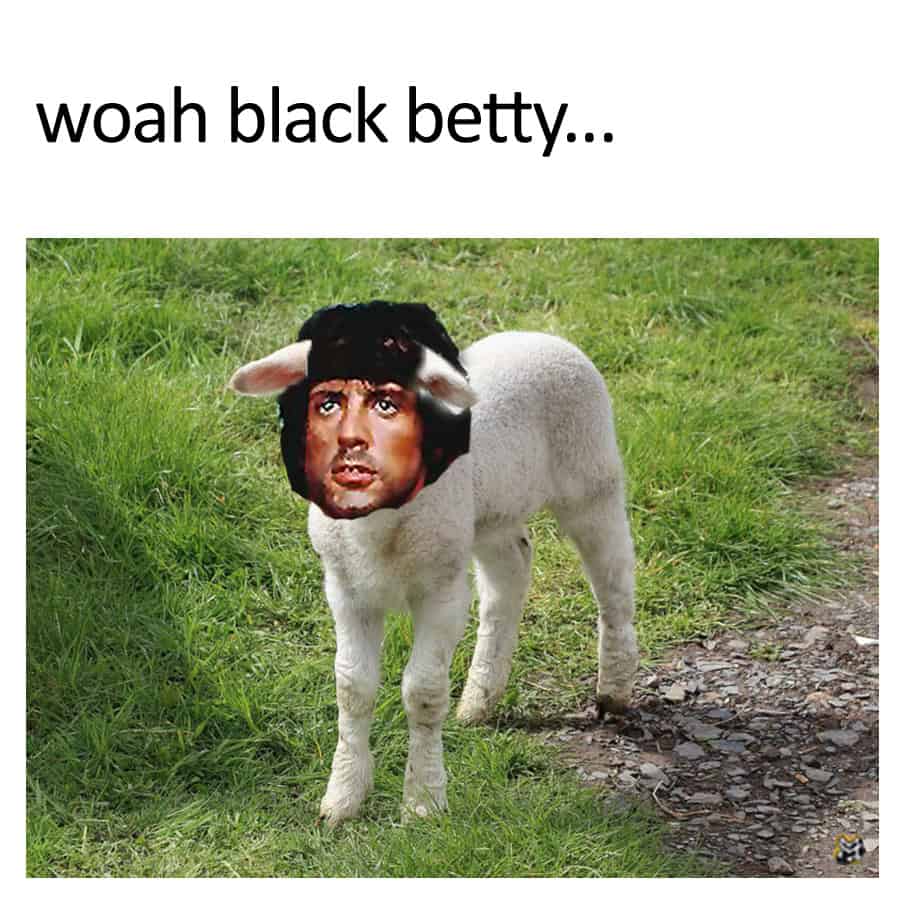 woah black betty...
