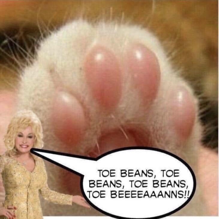 TOE BEANS, TOE BEANS, TOE BEANS, TOE BEEEEAAANNS!!