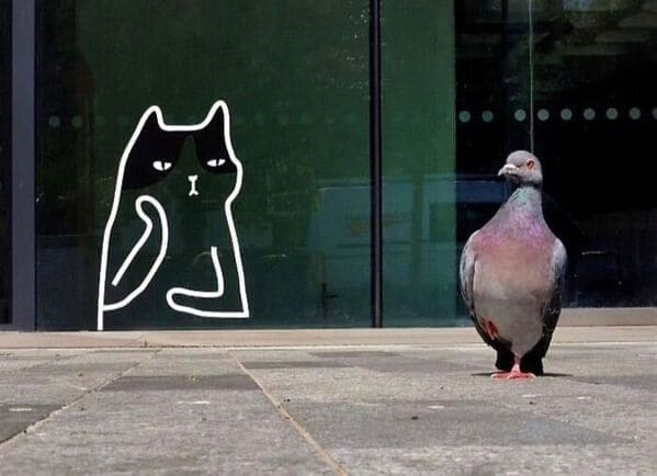 street photography, amazing photos, urban photography, street photos, candid photography, city photography, street shots, urban photos, candid photos, street pics, urban life images, city snapshots, sidewalk photography, real life photos, urban candid shots, street art pics, spontaneous photography, city scenes, everyday photography, urban exploration photos, street image gallery