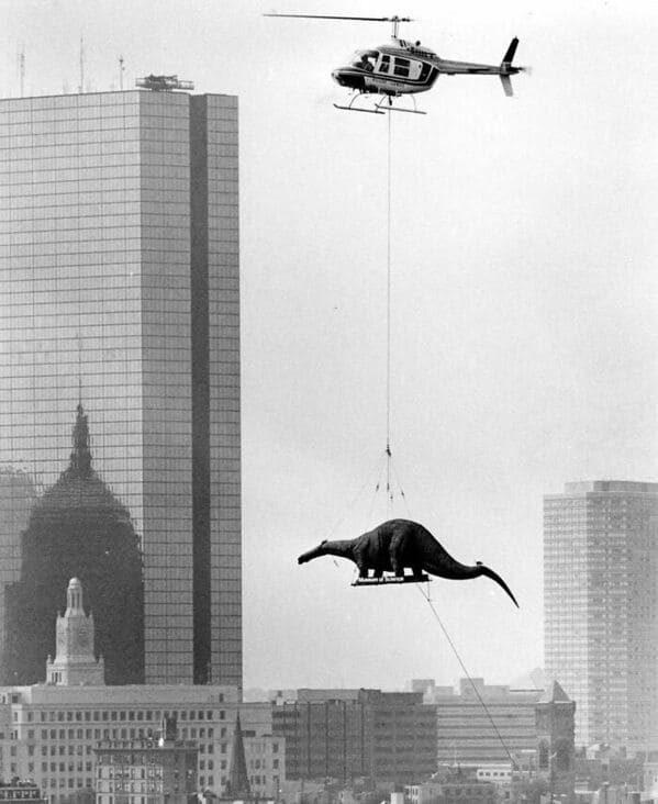 street photography, amazing photos, urban photography, street photos, candid photography, city photography, street shots, urban photos, candid photos, street pics, urban life images, city snapshots, sidewalk photography, real life photos, urban candid shots, street art pics, spontaneous photography, city scenes, everyday photography, urban exploration photos, street image gallery