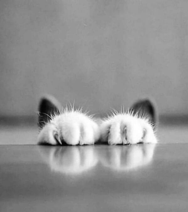 street photography, amazing photos, urban photography, street photos, candid photography, city photography, street shots, urban photos, candid photos, street pics, urban life images, city snapshots, sidewalk photography, real life photos, urban candid shots, street art pics, spontaneous photography, city scenes, everyday photography, urban exploration photos, street image gallery