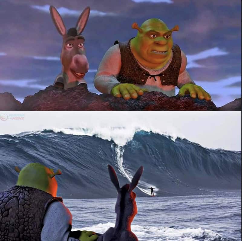 surfing memes, surf memes, wave memes, surf humor, ocean memes, surfer jokes, surfboard memes, coastal memes, sea memes, water sports memes, surf life memes, hang ten memes, big wave memes, shore break memes, surfing jokes, beach humor, swell memes, tide memes