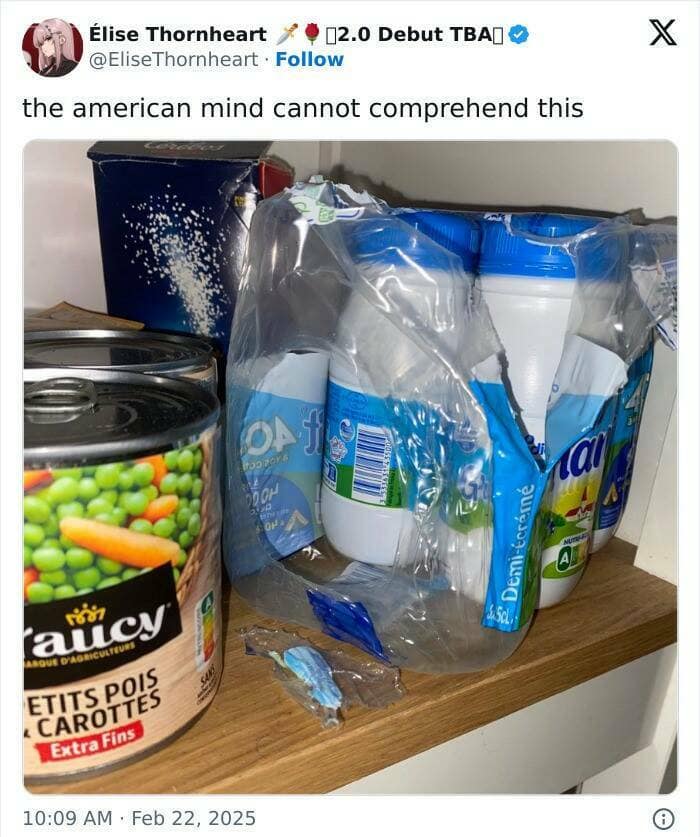 the american mind cannot comprehend this
