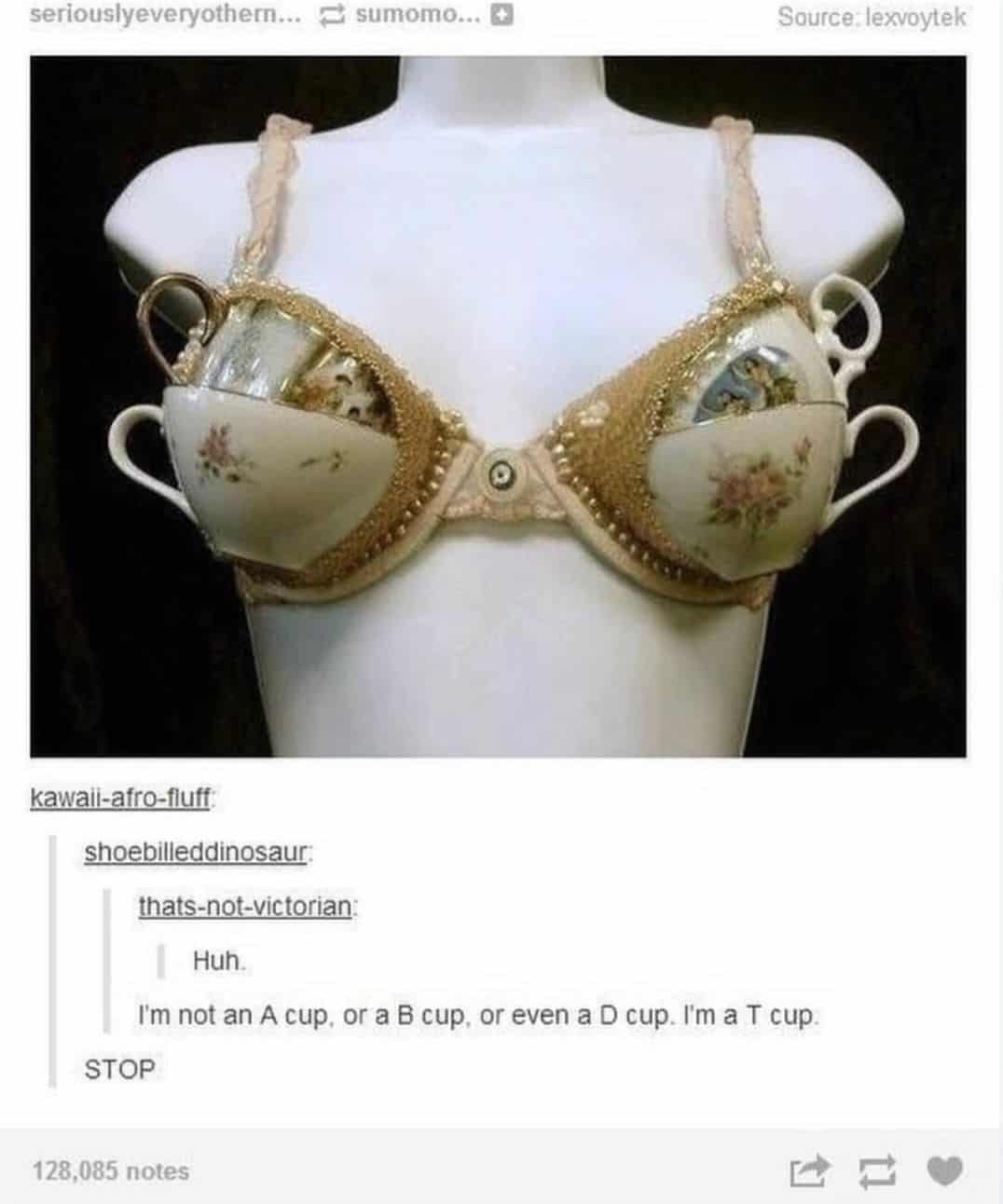 I'm not an A cup, or a B cup, or even a D cup. I'm a T cup.