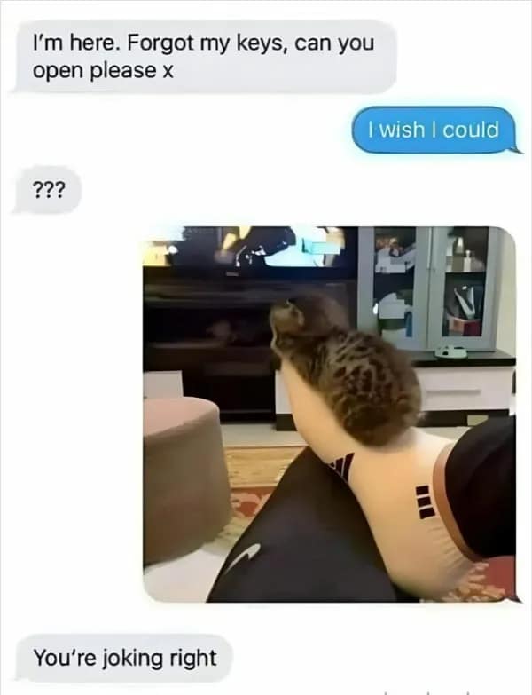 wholesome memes, heartwarming memes, uplifting memes, positive memes, feel-good memes, wholesome jokes, wholesome humor, restore your faith in humanity