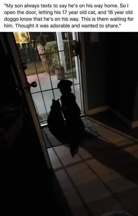 wholesome memes, uplifting memes, heartwarming memes, uplifting content, positive memes, feel-good memes, good vibes, kindness memes, relatable positivity, inspiring memes, heartwarming stories, daily happiness, positivity boost