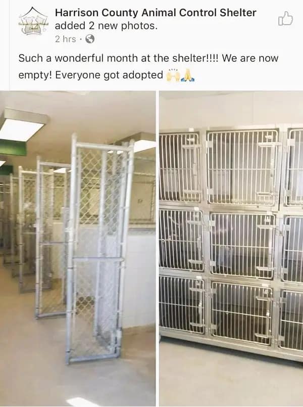 wholesome memes, uplifting memes, heartwarming memes, uplifting content, positive memes, feel-good memes, good vibes, kindness memes, relatable positivity, inspiring memes, heartwarming stories, daily happiness, positivity boost