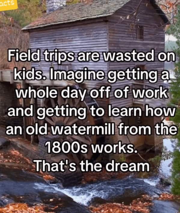 wholesome memes, heartwarming memes, positive memes, uplifting memes, feel-good memes, wholesome posts, cute memes, wholesome humor, happy memes, motivational memes, kind memes, encouraging memes, pure memes, good vibe memes, wholesome content, positivity memes, wholesome jokes, wholesome images, wholesome internet posts