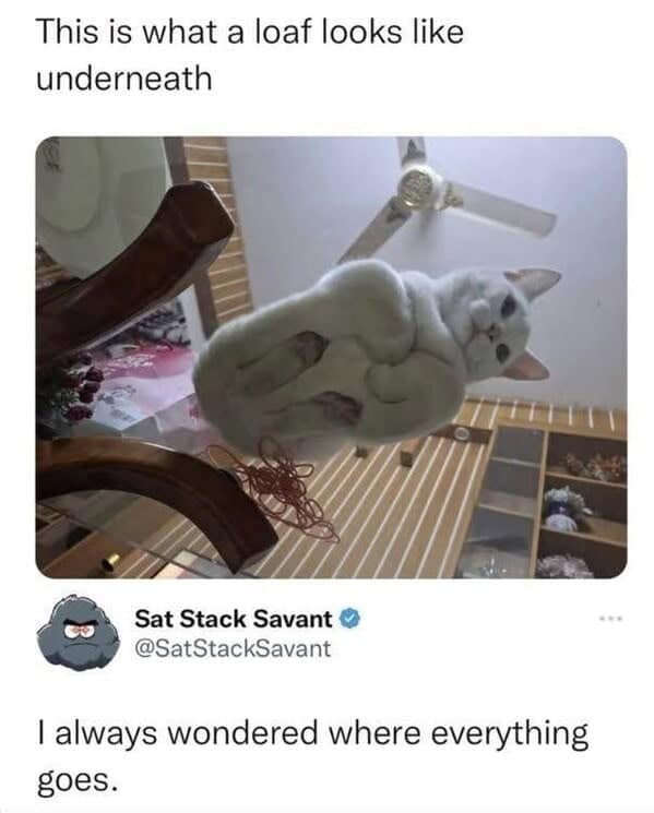 wholesome memes, heartwarming memes, positive memes, uplifting memes, feel-good memes, wholesome posts, cute memes, wholesome humor, happy memes, motivational memes, kind memes, encouraging memes, pure memes, good vibe memes, wholesome content, positivity memes, wholesome jokes, wholesome images, wholesome internet posts