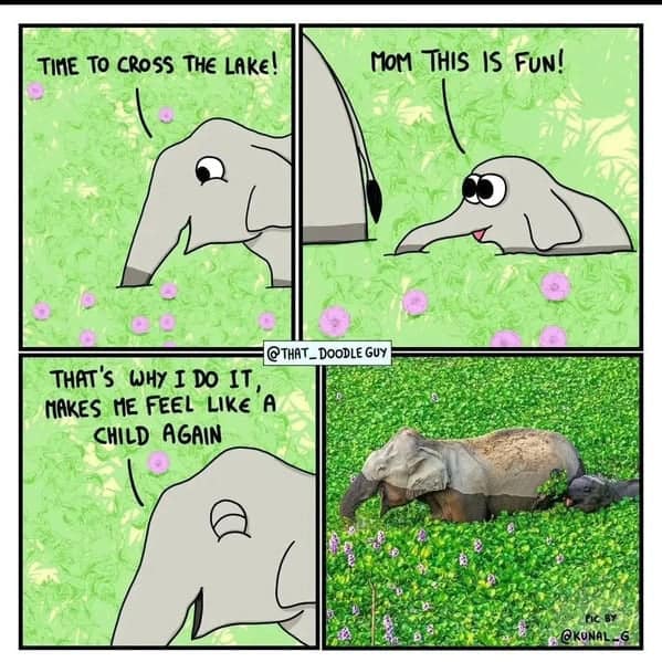 wholesome memes, heartwarming memes, positive memes, uplifting memes, feel-good memes, wholesome posts, cute memes, wholesome humor, happy memes, motivational memes, kind memes, encouraging memes, pure memes, good vibe memes, wholesome content, positivity memes, wholesome jokes, wholesome images, wholesome internet posts