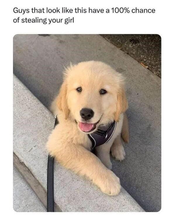 wholesome memes, heartwarming memes, positive memes, uplifting memes, feel-good memes, wholesome posts, cute memes, wholesome humor, happy memes, motivational memes, kind memes, encouraging memes, pure memes, good vibe memes, wholesome content, positivity memes, wholesome jokes, wholesome images, wholesome internet posts