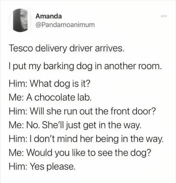 wholesome memes, heartwarming memes, uplifting memes, positive memes, feel-good memes, wholesome jokes, wholesome humor, restore your faith in humanity