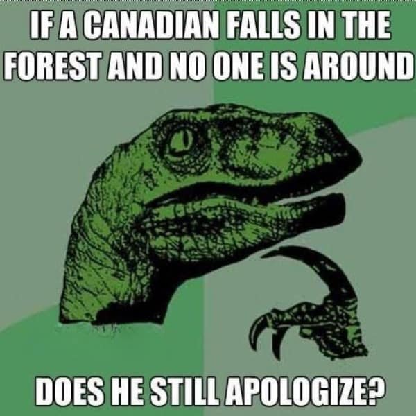 Canada day memes, canada day meme, canadian memes, canada memes, Canadian humor, trending Canada jokes, maple leaf memes, Canadian stereotypes, Canada holiday memes, July 1st memes, holiday jokes, funny Canadian memes, Canadian culture, Canadian holiday, classic memes, relatable memes, Canadian pride, Tim Hortons memes, Canada jokes, moose memes, poutine memes, northern humor