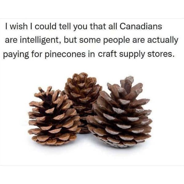 Canada day memes, canada day meme, canadian memes, canada memes, Canadian humor, trending Canada jokes, maple leaf memes, Canadian stereotypes, Canada holiday memes, July 1st memes, holiday jokes, funny Canadian memes, Canadian culture, Canadian holiday, classic memes, relatable memes, Canadian pride, Tim Hortons memes, Canada jokes, moose memes, poutine memes, northern humor