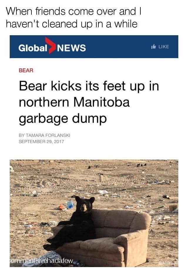 Canada day memes, canada day meme, canadian memes, canada memes, Canadian humor, trending Canada jokes, maple leaf memes, Canadian stereotypes, Canada holiday memes, July 1st memes, holiday jokes, funny Canadian memes, Canadian culture, Canadian holiday, classic memes, relatable memes, Canadian pride, Tim Hortons memes, Canada jokes, moose memes, poutine memes, northern humor