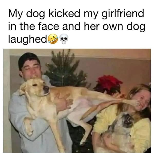 animal memes, funny animal memes, pet memes, cute animal memes, dog memes, cat memes, wildlife memes, critter memes, animal humor, creature jokes, furry memes, zoo memes, adorable memes, animal reactions, animal pics, pet humor