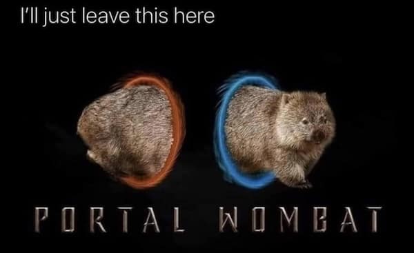 animal memes, funny animal memes, pet memes, cute animal memes, dog memes, cat memes, wildlife memes, critter memes, animal humor, creature jokes, furry memes, zoo memes, adorable memes, animal reactions, animal pics, pet humor