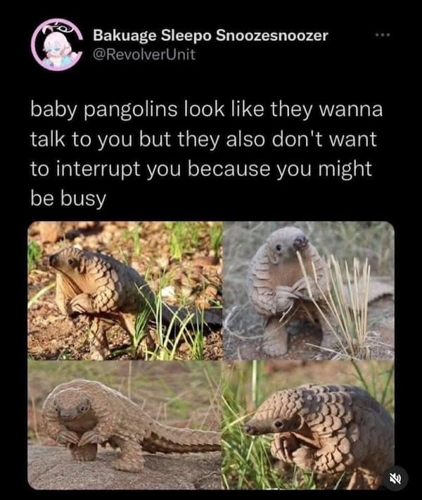 animal memes, funny animal memes, pet memes, cute animal memes, dog memes, cat memes, wildlife memes, critter memes, animal humor, creature jokes, furry memes, zoo memes, adorable memes, animal reactions, animal pics, pet humor