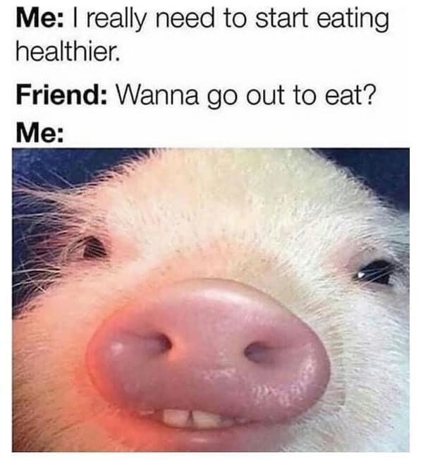 animal memes, funny animal memes, pet memes, cute animal memes, dog memes, cat memes, wildlife memes, critter memes, animal humor, creature jokes, furry memes, zoo memes, adorable memes, animal reactions, animal pics, pet humor