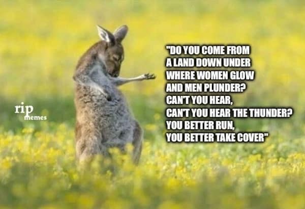 animal memes, funny animal memes, pet memes, cute animal memes, dog memes, cat memes, wildlife memes, critter memes, animal humor, creature jokes, furry memes, zoo memes, adorable memes, animal reactions, animal pics, pet humor