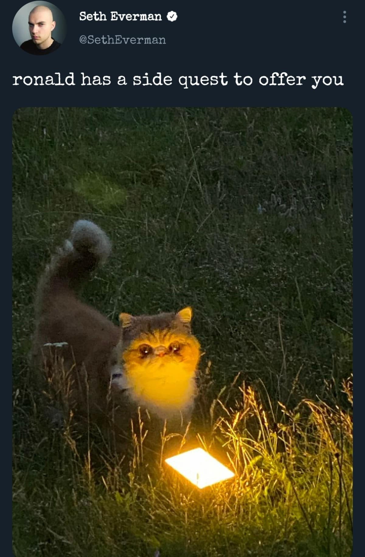 classic memes, vintage memes, viral tweets, meme nostalgia, meme history, reaction memes, trending memes, timeless jokes, old memes, internet classics, viral posts, group chat memes, meme trends, tweet memes, meme folder, meme legends, comfort memes, evergreen memes, classic posts, throwback memes, best memes