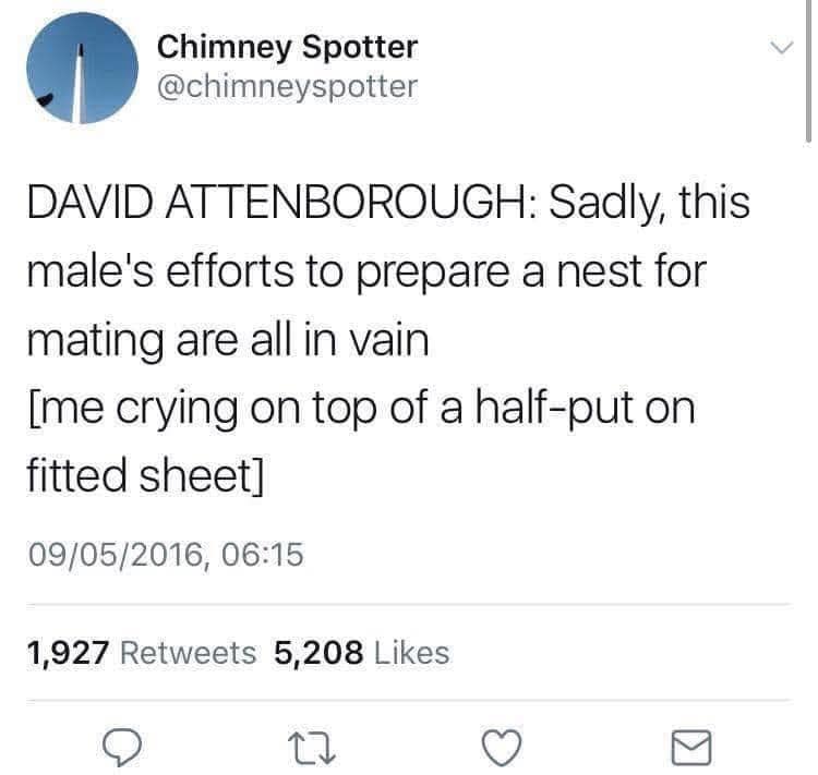 classic memes, vintage memes, viral tweets, timeless memes, evergreen memes, viral memes, iconic posts, legendary jokes, internet memes, web classics, digital relics, meme nostalgia, retro humor, old‑school laughs, best memes, old memes