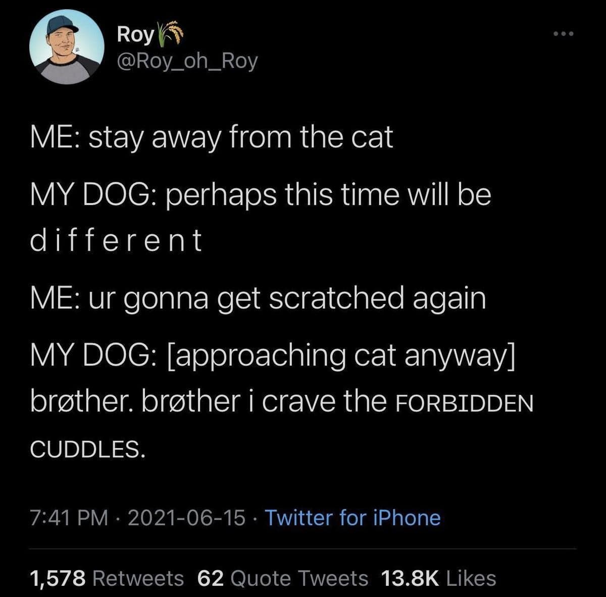 classic memes, vintage memes, viral tweets, meme nostalgia, meme history, reaction memes, trending memes, timeless jokes, old memes, internet classics, viral posts, group chat memes, meme trends, tweet memes, meme folder, meme legends, comfort memes, evergreen memes, classic posts, throwback memes, best memes