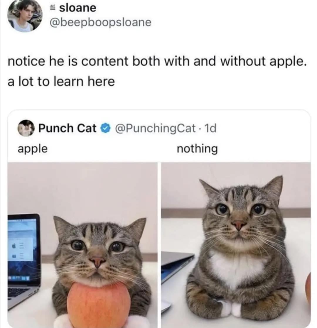 # sloane @beepboopsloane notice he is content both with and without apple. a lot to learn here apple Punch Cat ® @PunchingCat • 1d nothing